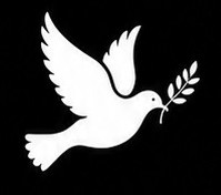 White dove